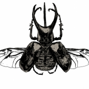 Avatar de Sy Gibbon