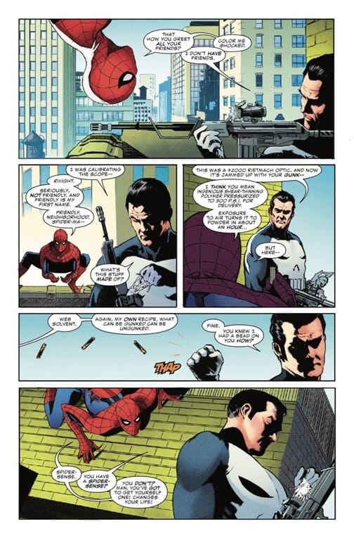 images/editeur/Admin-0-Corentin/News/ZZZ-840/spider-man-punisher-3.jpg