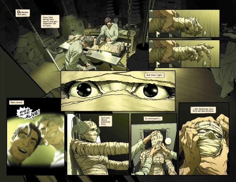 images/editeur/Admin-0-Corentin/News/ZZZ-845/the-bride-of-frankenstein-lives-9.jpg