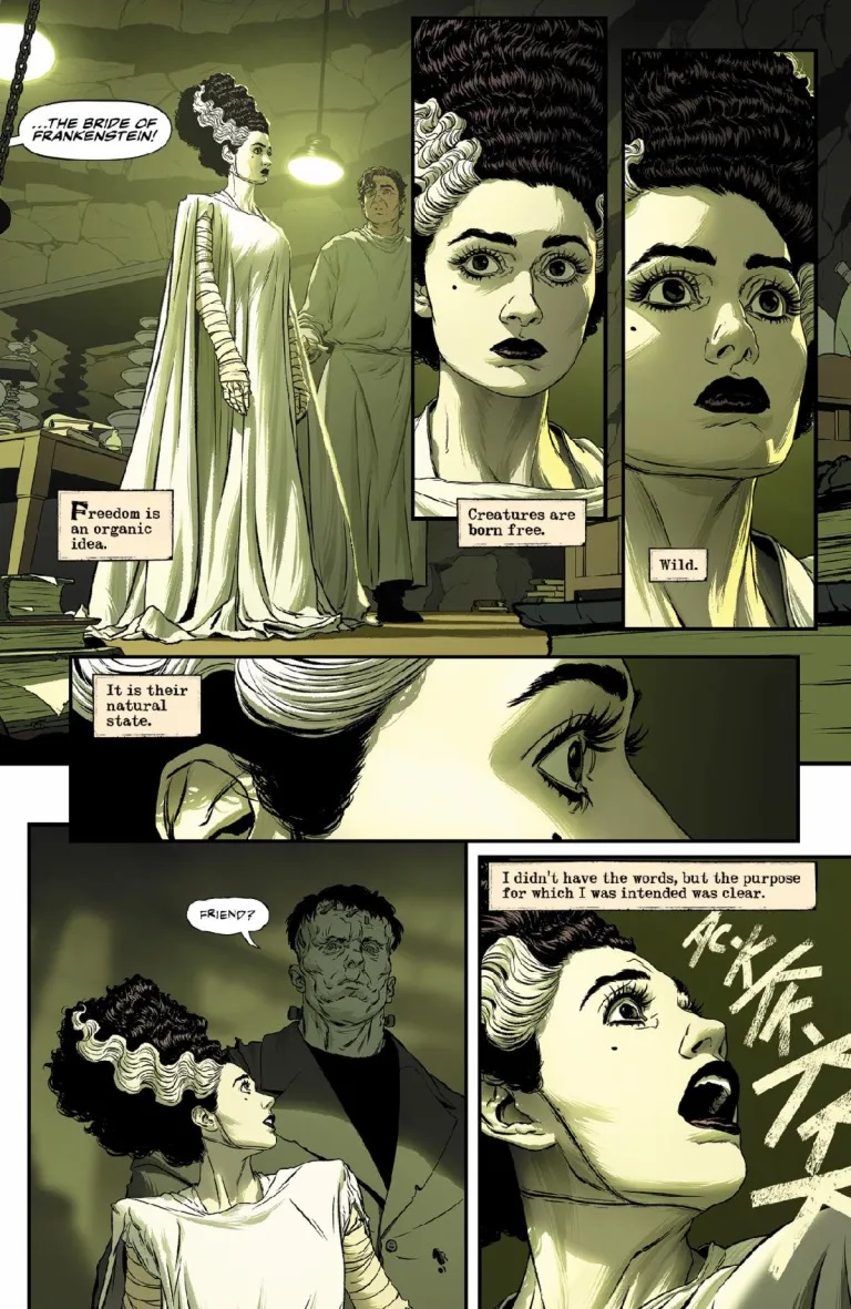 images/editeur/Admin-0-Corentin/News/ZZZ-845/the-bride-of-frankenstein-lives-9a.jpg