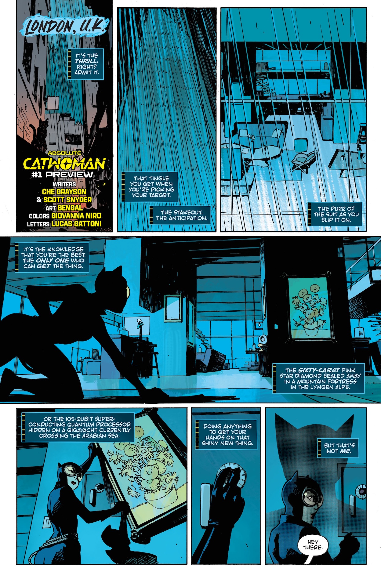 images/editeur/Admin-0-Corentin/News/ZZZ-861/absolute-catwoman-1.jpg