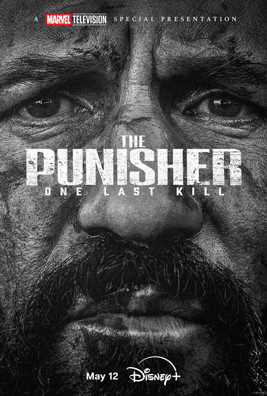 images/editeur/Arno/mars-26-2/punisher-tv.jpg