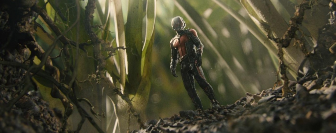 Ant-Man passe officiellement le cap des 500 millions de dollars au box-office
