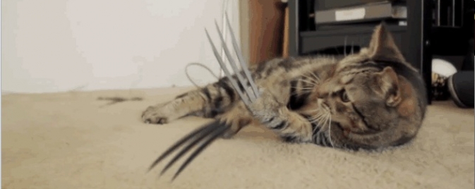 X-Men Origins: Wolverine Cat