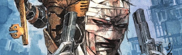 Illustration de l'article