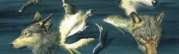 Illustration de l'article