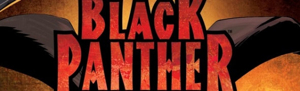 Black Panther bientôt dans les salles obscures ?