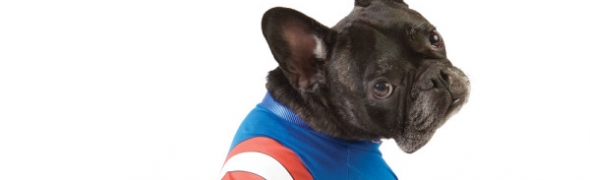 Marvel accessoirise vos animaux