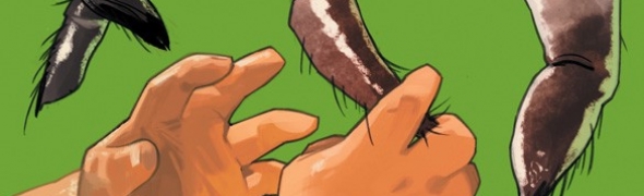 Illustration de l'article