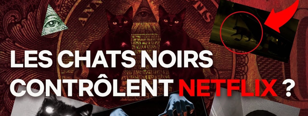 Netflix vous explique que les chats ça déchire avec le hashtag #AdopteunSalem