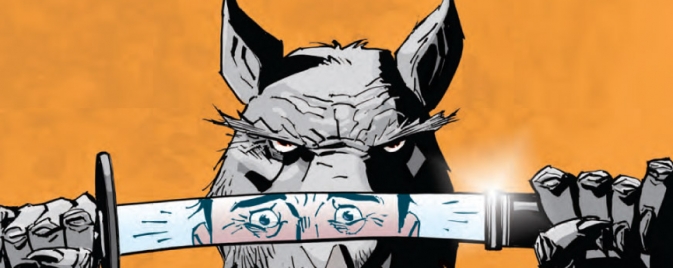 Teenage Mutant Ninja Turtles #14, la preview