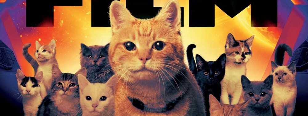 The Marvels fait la couverture de Total Film (avec son armée de chats de l'espace)