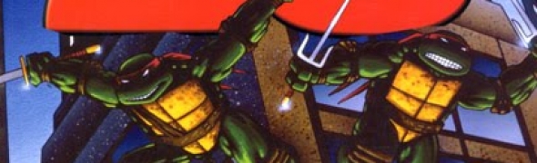 The Wanderer's Treasures #19, Teenage Mutant Ninja Turtles A Quarter Century Celebration