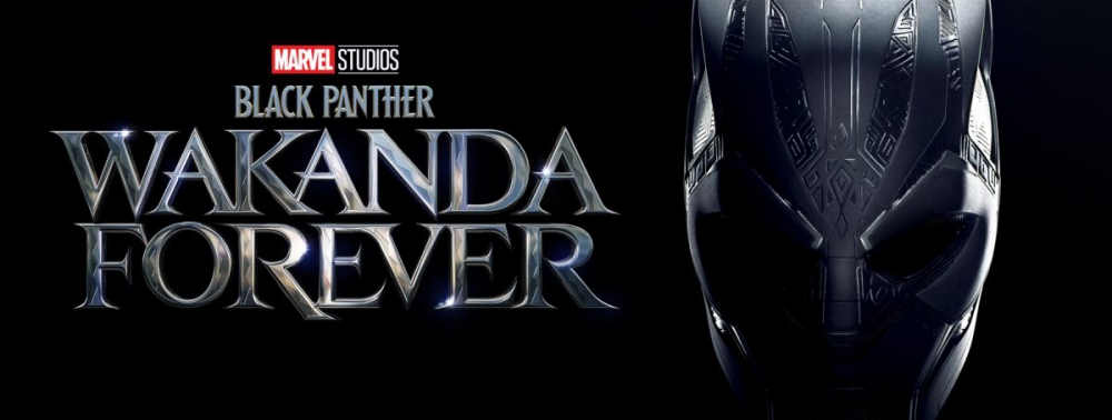 Black Panther : Wakanda Forever : En France, la sortie cinéma compromise, selon le Film Français