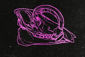 Illustration de l'article