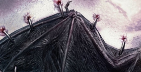 Illustration de l'article