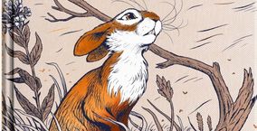 Illustration de l'article