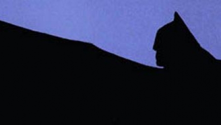 Illustration de l'article