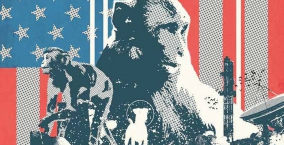Illustration de l'article