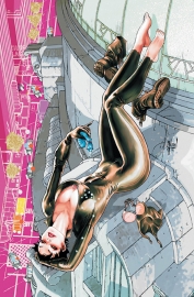 Catwoman VOL. 1 : The Game TP (vol. 4)