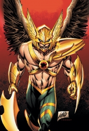 The Savage Hawkman #9