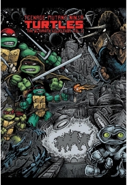 Teenage Mutant Ninja Turtles Ultimate Collection Vol.2